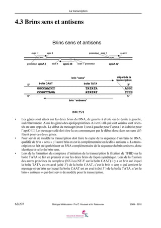 La transcription

4.3 Brins sens et antisens

BM 25/1
•

•

•

Les gènes sont situés sur les deux brins du DNA, de gauche à droite ou de droite à gauche,
indifféremment. Ainsi les gènes des apolipoprotéines A-I et C-III qui sont voisins sont orientés en sens opposés. Le début du message (exon 1) est à gauche pour l’apoA-I et à droite pour
l’apoC-III. Le message codé doit être lu en commençant par le début donc dans un sens différent pour ces deux gènes.
Pour servir de modèle la transcription doit faire la copie de la séquence d’un brin de DNA,
qualifié de brin « sens » ; l’autre brin en est le complémentaire on le dit « antisens ». La transcription se fait en synthétisant un RNA complémentaire de la séquence du brin antisens, donc
identique à celle du brin sens.
Lors de la formation du complexe d’initiation de la transcription la fixation de TFIID sur la
boîte TATA se fait en premier et sur les deux brins de façon symétrique. Lors de la fixation
des autres protéines du complexe (NF-I ou NF-Y sur la boîte CAAT) il y a un brin sur lequel
la boîte TATA est en aval (côté 3’) de la boîte CAAT, c’est le brin « sens » qui contient le
message et un brin sur lequel la boîte CAAT est en aval (côté 3’) de la boÎte TATA, c’est le
brin « antisens » qui doit servir de modèle pour la transcription.

62/207

Biologie Moléculaire - Prs C. Housset et A. Raisonnier

2009 - 2010

 