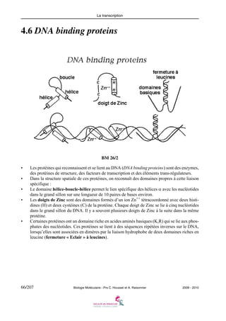 La transcription

4.6 DNA binding proteins

BM 26/2
•
•
•
•

•

Les protéines qui reconnaissent et se lient au DNA (DNA binding proteins) sont des enzymes,
des protéines de structure, des facteurs de transcription et des éléments trans-régulateurs.
Dans la structure spatiale de ces protéines, on reconnaît des domaines propres à cette liaison
spécifique :
Le domaine hélice-boucle-hélice permet le lien spécifique des hélices α avec les nucléotides
dans le grand sillon sur une longueur de 10 paires de bases environ.
Les doigts de Zinc sont des domaines formés d’un ion Zn++ tétracoordonné avec deux histidines (H) et deux cystéines (C) de la protéine. Chaque doigt de Zinc se lie à cinq nucléotides
dans le grand sillon du DNA. Il y a souvent plusieurs doigts de Zinc à la suite dans la même
protéine.
Certaines protéines ont un domaine riche en acides aminés basiques (K,R) qui se lie aux phosphates des nucléotides. Ces protéines se lient à des séquences répétées inverses sur le DNA,
lorsqu’elles sont associées en dimères par la liaison hydrophobe de deux domaines riches en
leucine (fermeture « Eclair » à leucines).

66/207

Biologie Moléculaire - Prs C. Housset et A. Raisonnier

2009 - 2010

 
