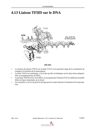 La transcription

4.13 Liaison TFIID sur le DNA

BM 28/1
•
•
•
•

La fixation du facteur TFII D sur la boîte TATA est la première étape de la constitution du
complexe d’initiation de la transcription.
La boîte TATA est symétrique, c’est à dire qu’elle est identique sur les deux brins antiparallèles et complémentaires du DNA.
La protéine TFII D se fixe sur le DNA, en reconnaissant l’élément TATA et déforme la double
hélice de façon importante en se fixant.
Cet ensemble va servir de point d’ancrage pour les autres facteurs d’initiation de la transcription.

2009 - 2010

Biologie Moléculaire - Prs C. Housset et A. Raisonnier

73/207

 