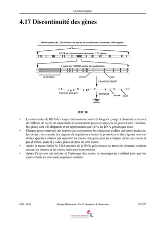 La transcription

4.17 Discontinuité des gènes

BM 30
•

•

•
•

Les molécules de DNA de chaque chromosome sont très longues : jusqu’à plusieurs centaines
de millions de paires de nucléotides et contiennent plusieurs milliers de gènes. Chez l’homme,
les gènes sont très dispersés et ne représentent que 10 % du DNA génomique total.
Chaque gène comprend des régions qui contiennent les séquences codées qui seront traduites,
les exons ; mais aussi, des régions de régulation comme le promoteur et des régions non traduites appelées introns qui séparent les exons. Un gène peut ne contenir qu’un seul exon et
pas d’intron, mais il y a des gènes de plus de cent exons.
Après la transcription le RNA produit de la RNA polymérase ou transcrit primaire contient
encore les introns et les exons, mais pas le promoteur.
Après l’excision des introns et l’épissage des exons, le messager ne contient plus que les
exons réunis en une seule séquence codante.

2009 - 2010

Biologie Moléculaire - Prs C. Housset et A. Raisonnier

77/207

 