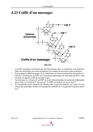 La transcription

4.23 Coiffe d’un messager

BM 33/2
•
•

•
•

Les RNA messagers sont détruits par des ribonucléases dans le cytoplasme. Leur hydrolyse
libère des nucléotides qui seront réemployés à la synthèse de nouveaux acides nucléiques.
Pour protéger les RNA messagers de ce catabolisme, une structure particulière dissimule l’extrémité 5’ terminale de ces RNA aux exonucléases spécifiques de cette partie du RNA. Cette
structure est appelée coiffe du messager (cap).
Au minimum, il y a fixation d’un GMP sur le deuxième phosphate du nucléoside triphosphate
qui se trouve à l’extrémité 5’ du transcrit. Ce GMP est méthylé sur son azote n°7.
Si le nucléotide initial comprend une adénine celle-ci peut être méthylée sur l’azote n°6. Les
riboses des nucléotides initiaux sont quelquefois méthylés sur l’oxygène de la fonction alcool
en 2’.

2009 - 2010

Biologie Moléculaire - Prs C. Housset et A. Raisonnier

83/207

 