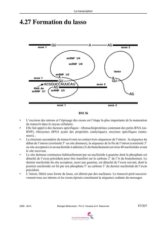 La transcription

4.27 Formation du lasso

BM 36
•
•

•

•

•

L’excision des introns et l’épissage des exons est l’étape la plus importante de la maturation
du transcrit dans le noyau cellulaire.
Elle fait appel à des facteurs spécifiques : ribonucléoprotéines contenant des petits RNA (snRNP), ribozymes (RNA ayant des propriétés catalytiques), enzymes spécifiques (maturases)...
La structure secondaire du transcrit met en contact trois séquences de l’intron : la séquence du
début de l’intron (extrémité 5’ ou site donneur), la séquence de la fin de l’intron (extrémité 3’
ou site accepteur) et un nucléotide à adénine (A du branchement) environ 40 nucléotides avant
le site receveur.
Le site donneur commence habituellement par un nucléotide à guanine dont le phosphate est
détaché de l’exon précédent pour être transféré sur le carbone 2’ de l’A du branchement. Le
dernier nucléotide du site accepteur, aussi une guanine, est détaché de l’exon suivant, dont le
premier nucléotide est lié par son phosphate 5’ au carbone 3’ du dernier nucléotide de l’exon
précédent.
L’intron, libéré sous forme de lasso, est détruit par des nucléases. Le transcrit perd successivement tous ses introns et les exons épissés constituent la séquence codante du messager.

2009 - 2010

Biologie Moléculaire - Prs C. Housset et A. Raisonnier

87/207

 