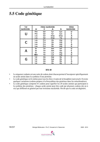 La traduction

5.5 Code génétique

BM 40
•
•
•

La séquence codante est une suite de codons dont chacun permet d’incorporer spécifiquement
un acide aminé dans la synthèse d’une protéine.
Le code génétique est le même pour tous les êtres vivants de la biosphère (universel). Il existe
quelques variations (codons propres à la biosynthèse des protéines dans les mitochondries).
Le code génétique comporte 61 codons pour signifier les 20 acides aminés qui participent à
la synthèse des protéines : chaque acide aminé peut être codé par plusieurs codons (de un à
six) qui diffèrent en général par leur troisième nucléotide. On dit que le code est dégénéré.

98/207

Biologie Moléculaire - Prs C. Housset et A. Raisonnier

2009 - 2010

 