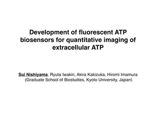  
Development of ﬂuorescent ATP
biosensors for quantitative imaging of
extracellular ATP 
Sui Nishiyama, Ryuta Iwakiri, Akira Kakizuka, Hiromi Imamura!
(Graduate School of Biostudies, Kyoto University, Japan)!
 
