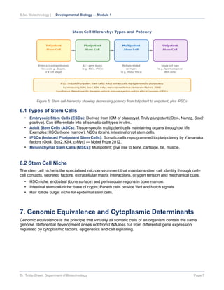 Stem Positive Rise Comprehensive Introduction to Developmental Biology: Principles ...