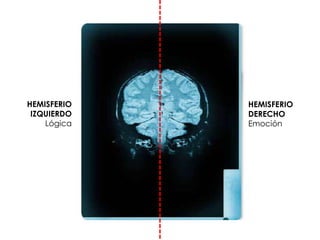 HEMISFERIO
DERECHO
Emoción
HEMISFERIO
IZQUIERDO
Lógica
 