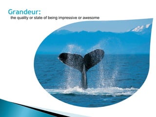 Grandeur:  the quality or state of being impressive or awesome 