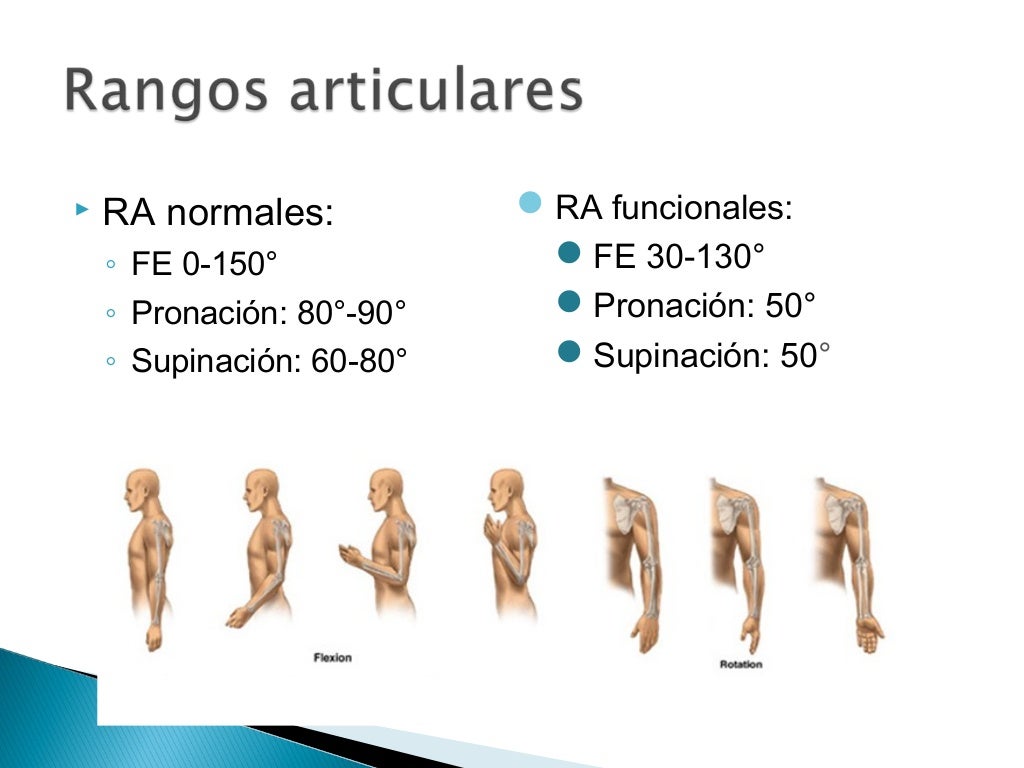 BIOMECÁNICA DEL CODO
