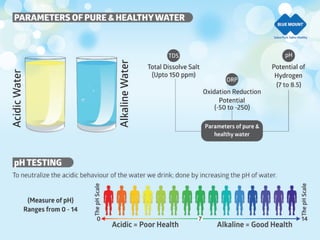 Blue Mount  company profile