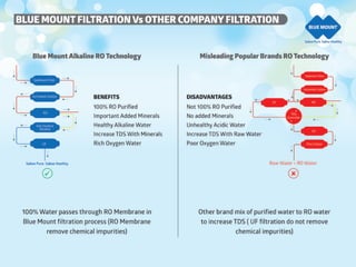 Blue Mount  company profile