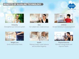 Blue Mount  company profile