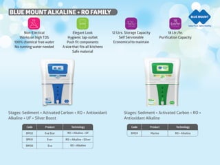 Blue Mount  company profile