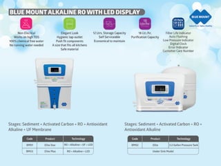 Blue Mount  company profile