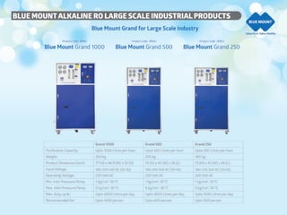 Blue Mount  company profile