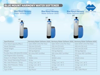 Blue Mount  company profile