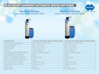 Blue Mount  company profile