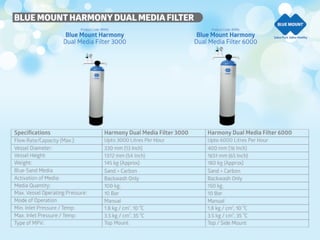 Blue Mount  company profile