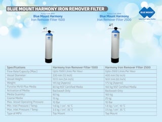 Blue Mount  company profile