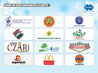 Blue Mount  company profile