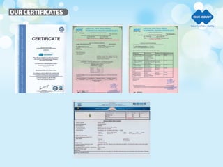 Blue Mount  company profile