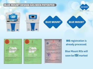 Blue Mount  company profile