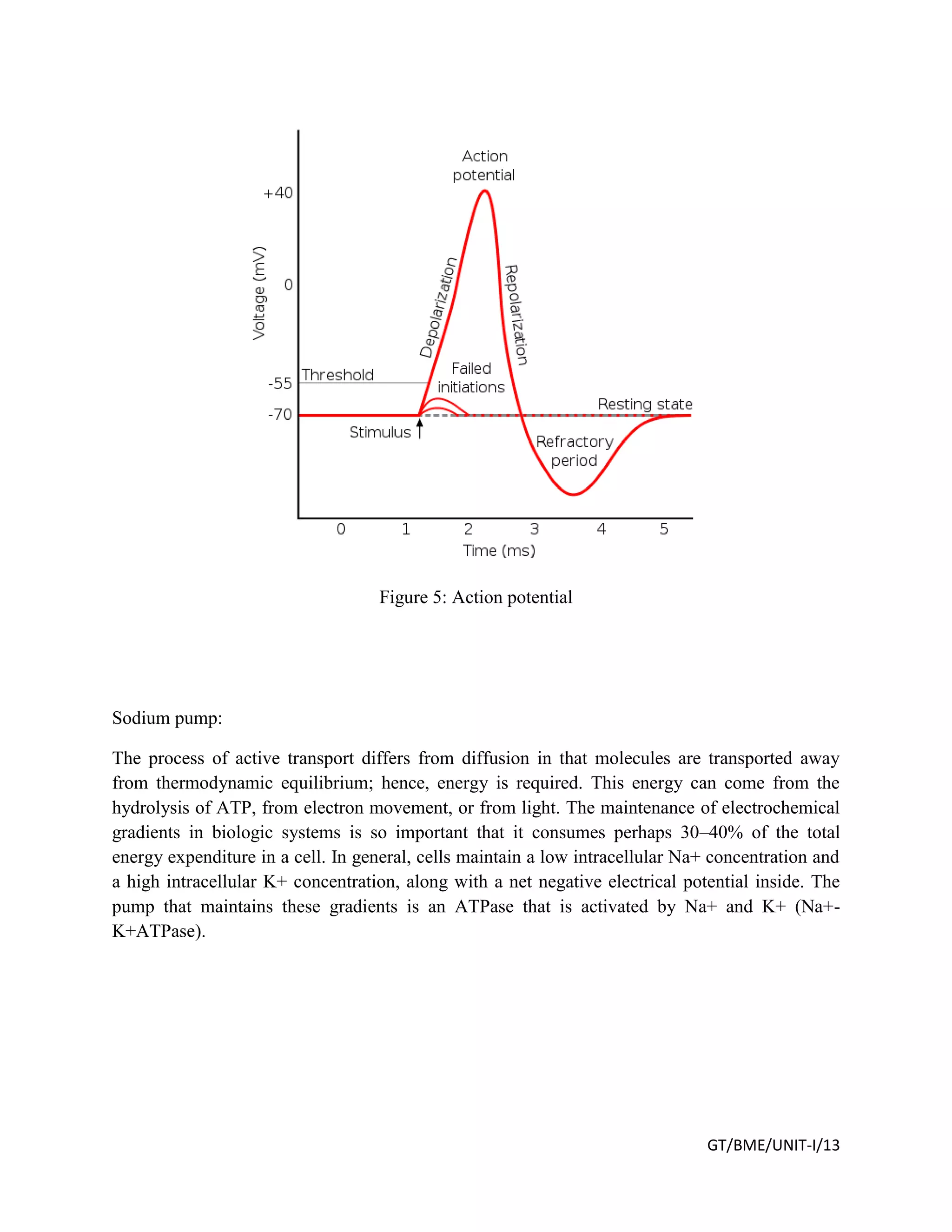 GT/BME/UNIT-I/13
Figure 5: Action potential
Sodium pump:
The process of active transport differs from diffusion in that molecules are transported away
from thermodynamic equilibrium; hence, energy is required. This energy can come from the
hydrolysis of ATP, from electron movement, or from light. The maintenance of electrochemical
gradients in biologic systems is so important that it consumes perhaps 30–40% of the total
energy expenditure in a cell. In general, cells maintain a low intracellular Na+ concentration and
a high intracellular K+ concentration, along with a net negative electrical potential inside. The
pump that maintains these gradients is an ATPase that is activated by Na+ and K+ (Na+-
K+ATPase).
 