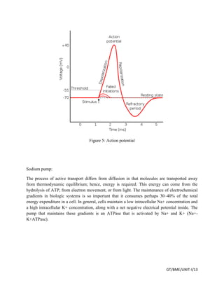 GT/BME/UNIT-I/13
Figure 5: Action potential
Sodium pump:
The process of active transport differs from diffusion in that molecules are transported away
from thermodynamic equilibrium; hence, energy is required. This energy can come from the
hydrolysis of ATP, from electron movement, or from light. The maintenance of electrochemical
gradients in biologic systems is so important that it consumes perhaps 30–40% of the total
energy expenditure in a cell. In general, cells maintain a low intracellular Na+ concentration and
a high intracellular K+ concentration, along with a net negative electrical potential inside. The
pump that maintains these gradients is an ATPase that is activated by Na+ and K+ (Na+-
K+ATPase).
 