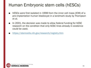 Human Embryonic stem cells (hESCs)
■ hESCs were first isolated in 1998 from the inner cell mass (ICM) of a
pre-implantation human blastocyst in a landmark study by Thompson
et al.
■ In 2001, the decision was made to allow federal funding for hESC
research on the condition that only hESC lines already in existence
could be used.
■ https://stemcells.nih.gov/research/registry.htm
15
 
