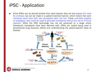 iPSC - Application
■ Since iPSCs can be derived directly from adult tissues, they not only bypass the need
for embryos, but can be made in a patient-matched manner, which means that each
individual could have their own pluripotent stem cell line. These unlimited supplies
of autologous cells could be used to generate transplants without the risk of immune
rejection. While the iPSC technology has not yet advanced to a stage where
therapeutic transplants have been deemed safe, iPSCs are readily being used in
personalized drug discovery efforts and understanding the patient-specific basis of
disease
17
 