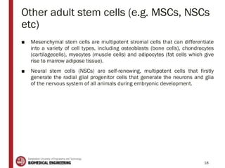 Other adult stem cells (e.g. MSCs, NSCs
etc)
■ Mesenchymal stem cells are multipotent stromal cells that can differentiate
into a variety of cell types, including osteoblasts (bone cells), chondrocytes
(cartilagecells), myocytes (muscle cells) and adipocytes (fat cells which give
rise to marrow adipose tissue).
■ Neural stem cells (NSCs) are self-renewing, multipotent cells that firstly
generate the radial glial progenitor cells that generate the neurons and glia
of the nervous system of all animals during embryonic development.
18
 