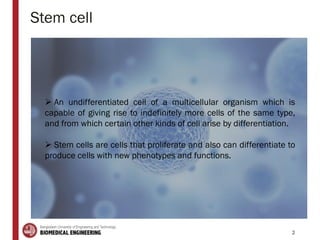 Stem cell
2
 An undifferentiated cell of a multicellular organism which is
capable of giving rise to indefinitely more cells of the same type,
and from which certain other kinds of cell arise by differentiation.
 Stem cells are cells that proliferate and also can differentiate to
produce cells with new phenotypes and functions.
 