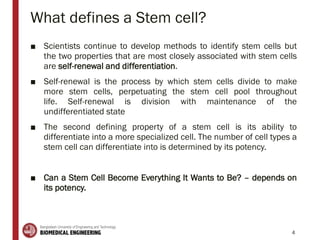 What defines a Stem cell?
■ Scientists continue to develop methods to identify stem cells but
the two properties that are most closely associated with stem cells
are self-renewal and differentiation.
■ Self-renewal is the process by which stem cells divide to make
more stem cells, perpetuating the stem cell pool throughout
life. Self-renewal is division with maintenance of the
undifferentiated state
■ The second defining property of a stem cell is its ability to
differentiate into a more specialized cell. The number of cell types a
stem cell can differentiate into is determined by its potency.
■ Can a Stem Cell Become Everything It Wants to Be? – depends on
its potency.
4
 