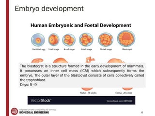 Embryo development
6
The blastocyst is a structure formed in the early development of mammals.
It possesses an inner cell mass (ICM) which subsequently forms the
embryo. The outer layer of the blastocyst consists of cells collectively called
the trophoblast.
Days: 5–9
 