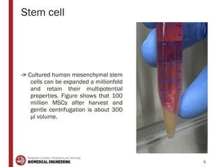Stem cell
9
-> Cultured human mesenchymal stem
cells can be expanded a millionfold
and retain their multipotential
properties. Figure shows that 100
million MSCs after harvest and
gentle centrifugation is about 300
μl volume.
 