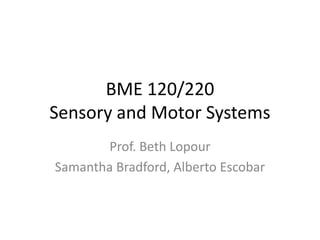 BME 120/220
Sensory and Motor Systems
Prof. Beth Lopour
Samantha Bradford, Alberto Escobar
 