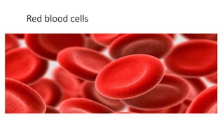 Red blood cells
 