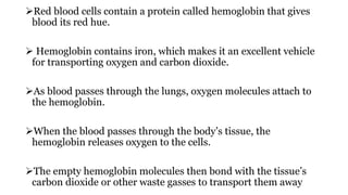 Red blood cells contain a protein called hemoglobin that gives
blood its red hue.
 Hemoglobin contains iron, which makes it an excellent vehicle
for transporting oxygen and carbon dioxide.
As blood passes through the lungs, oxygen molecules attach to
the hemoglobin.
When the blood passes through the body’s tissue, the
hemoglobin releases oxygen to the cells.
The empty hemoglobin molecules then bond with the tissue’s
carbon dioxide or other waste gasses to transport them away
 