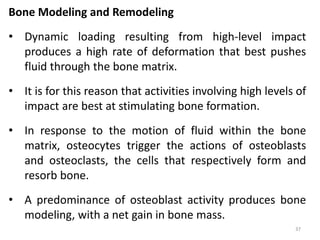BME 305 - Lesson 8 - Biomechanics of Bone - Part I.pptx