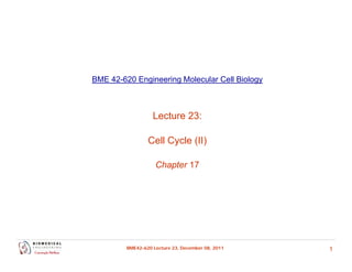 BME 42-620 Engineering Molecular Cell Biology
Lecture 23:
Lecture 23:
Cell Cycle (II)
Chapter 17
1
BME42-620 Lecture 23, December 08, 2011
 