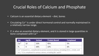 Anatomy and physiology of the skeletal system | PDF
