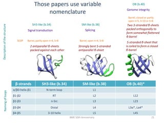 SM-like (b.38)
OB (b.40)
SplicingSignal transduction
Genome integrity
β-strands SH3-like (b.34) SM-like (b.38) OB (b.40)*
α/β0-helix-β1 N-term loop L1
β1-β2 RT L2 L12
β2-β3 n-Src L3 L23
β3-β4 Distal L4 L3α*, Lα4*
β4-β5 3-10 helix L5 L45
SH3-like (b.34)
Those papers use variable
nomenclature
Strongly bent 5-stranded
antiparallel β-sheet
2 antiparallel β-sheets
packed against each other
5-stranded β-sheet that
is coiled to form a closed
β-barrel
Two 3-stranded β-sheets
packed orthogonally to
form somewhat flattened
β-barrel
SCOP Barrel, partly open n=4, S=8 Barrel, open n=4, S=8
Barrel, closed or partly
open n=5, S=10 or S=8
DescriptionofthestructureNamingofloops
BME 50th Anniversary 21
 