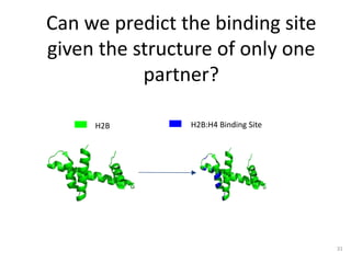 Can we predict the binding site
given the structure of only one
partner?
H2B H2B:H4 Binding Site
31
 