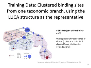 Training Data: Clustered binding sites
from one taxonomic branch, using the
LUCA structure as the representative
# of Eukaryotic clusters (n>1):
4578
Use representative sequence of
cluster (LUCA) and train for 2
classes (0=not binding site,
1=binding site)
Goncearenco A, Shaytan AK, Shoemaker BA, Panchenko AR. Biophysical Journal. 2015
35
 