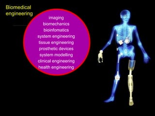 Biomedical
engineering
imaging
biomechanics
bioinfomatics
system engineering
tissue engineering
prosthetic devices
system modelling
clinical engineering
health engineering
 