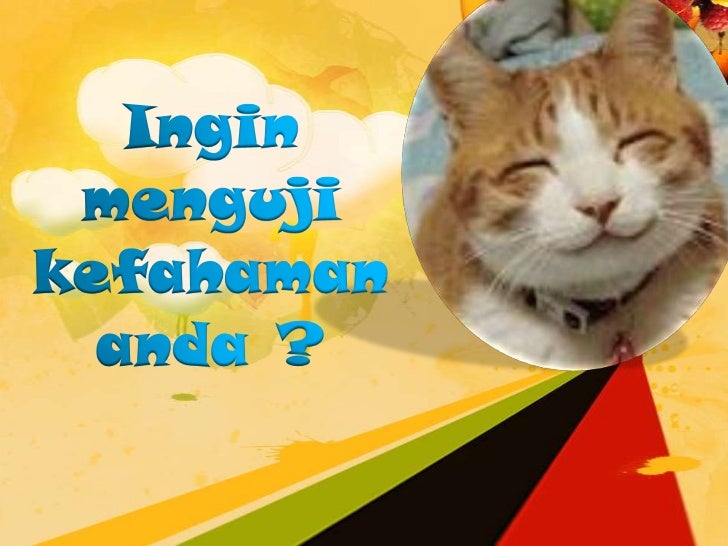 kata pinjaman ( bahasa melayu)