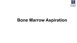 Bone Marrow Aspiration
 