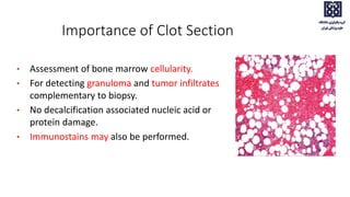 Importance of Clot Section
• Assessment of bone marrow cellularity.
• For detecting granuloma and tumor infiltrates
complementary to biopsy.
• No decalcification associated nucleic acid or
protein damage.
• Immunostains may also be performed.
 