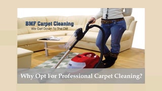 Why Opt For Professional Carpet Cleaning?
 
