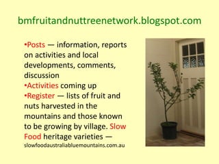 bmfruitandnuttreenetwork.blogspot.com

 •Posts — information, reports
 on activities and local
 developments, comments,
 d...