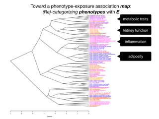 Toward a phenotype-exposure association map:
(Re)-categorizing phenotypes with E
7 6 5 4 3 2 1 0
Distance
liver:Albumin
kidney:Bicarbonate
immunological:Basophils percent
immunological:Lymphocyte percent
immunological:Eosinophils percent
kidney:Phosphorus
liver:Total protein
liver:Aspartate aminotransferase AST
liver:Alanine aminotransferase ALT
body measures:Head Circumference
body measures:Recumbent Length
liver:Lactate dehydrogenase LDH
cancer:Prostate specific antigen ratio
cancer:PSA, free
blood:Transferrin saturation
liver:Total bilirubin
heart:Direct HDL-Cholesterol
immunological:Monocyte percent
bone:Head BMD
body measures:Standing Height
body measures:Upper Leg Length
bone:Total BMD
bone:Lumber Spine BMD
bone:Lumber Pelvis BMD
heart:Triglycerides
heart:LDL-cholesterol
heart:Total Cholesterol
blood:MCHC
blood:TIBC, Frozen Serum
blood:Hematocrit
blood:Hemoglobin
kidney:Potassium
blood:Mean cell hemoglobin
blood:Mean cell volume
kidney:Uric acid
kidney:Blood urea nitrogen
kidney:Total calcium
kidney:Creatinine
blood:Ferritin
blood:Red blood cell count
body measures:Weight
blood:Segmented neutrophils percent
body measures:Total Lean excl BMC
body measures:Trunk Lean excl BMC
body measures:Body Mass Index
body measures:Waist Circumference
body measures:Triceps Skinfold
body measures:Maximal Calf Circumference
body measures:Thigh Circumference
liver:Gamma glutamyl transferase
blood pressure:60 sec. pulse:
metabolic:Insulin
body measures:Total Fat
body measures:Trunk Fat
body measures:Subscapular Skinfold
blood pressure:mean systolic
immunological:C-reactive protein
liver:Globulin
immunological:Monocyte number
immunological:Segmented neutrophils number
immunological:Lymphocyte number
immunological:White blood cell count
immunological:Basophils number
immunological:Eosinophils number
blood:Mean platelet volume
heart:Homocysteine
nutrition:Methylmalonic acid
kidney:Osmolality
kidney:Chloride
kidney:Sodium
kidney:Albumin, urine
blood pressure:60 sec HR
cancer:PSA. total
blood:Platelet count SI
blood:Protoporphyrin
blood:Red cell distribution width
bone:Bone alkaline phosphotase
liver:Alkaline phosphotase
blood pressure:mean diastolic
metabolic:C-peptide: SI
metabolic:Glycohemoglobin
metabolic:Glucose, plasma
metabolic:Glucose, serum
inﬂammation
adiposity
kidney function
metabolic traits
 